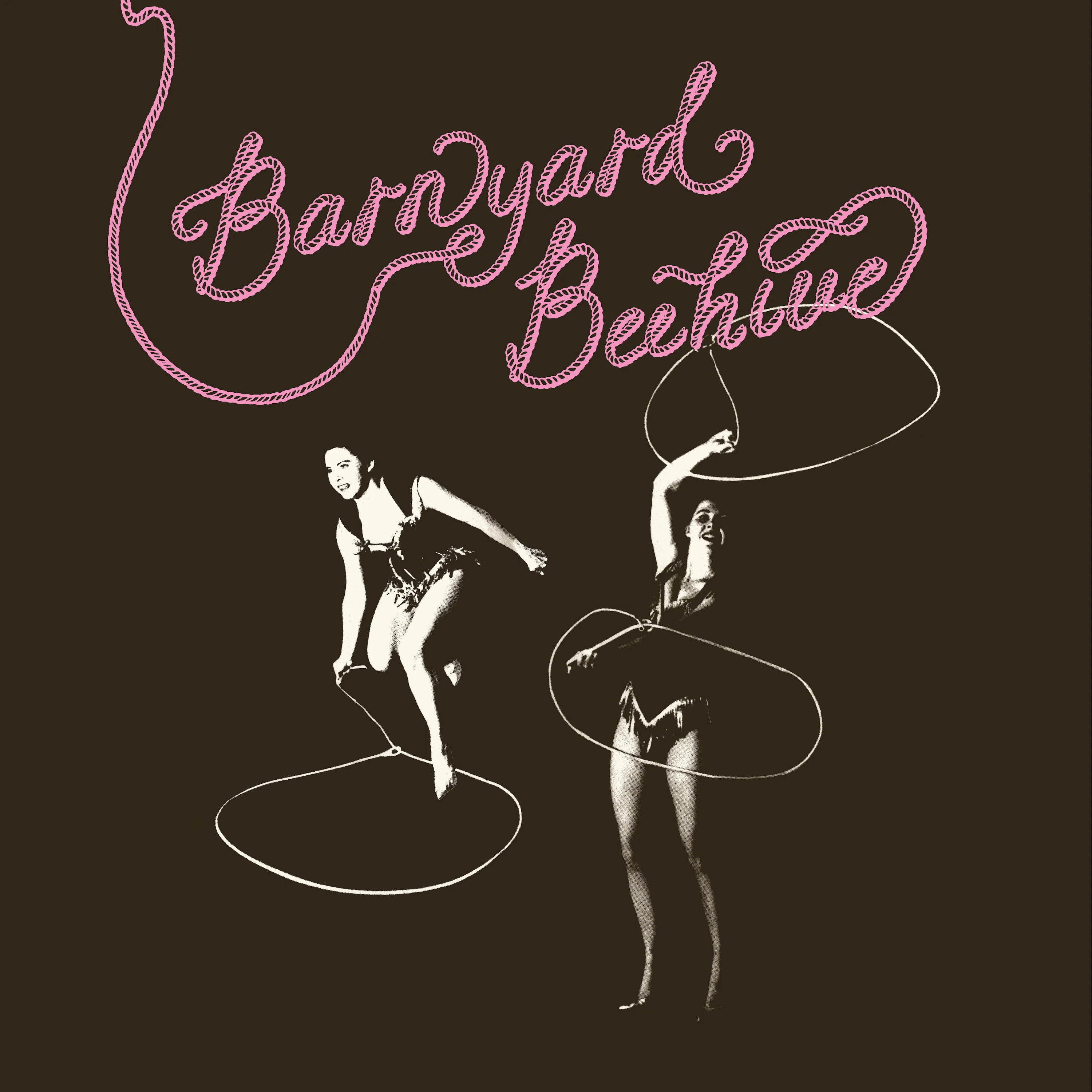 Barnyard Beehive - Image 4