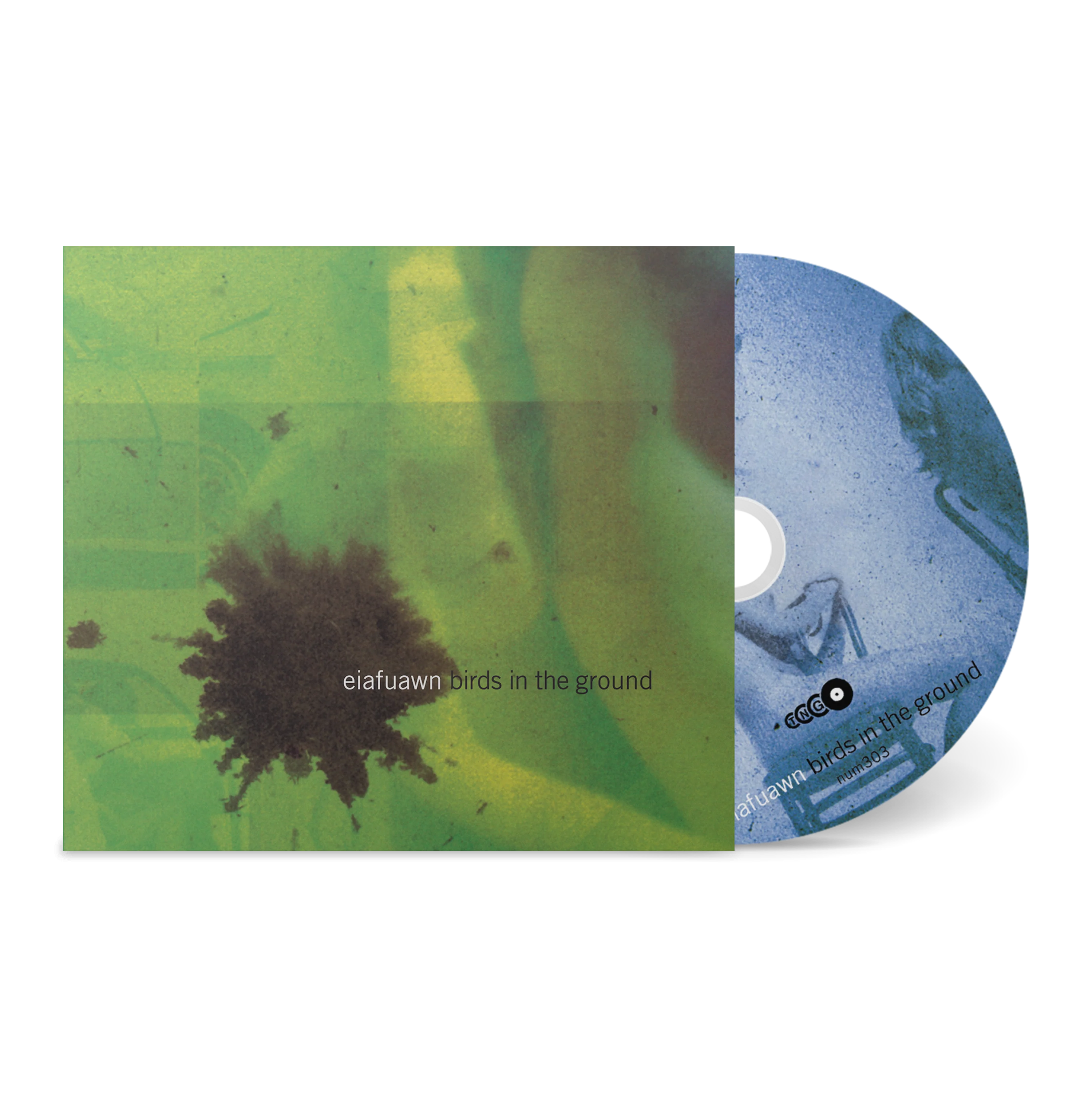 Birds In The Ground - Image 6