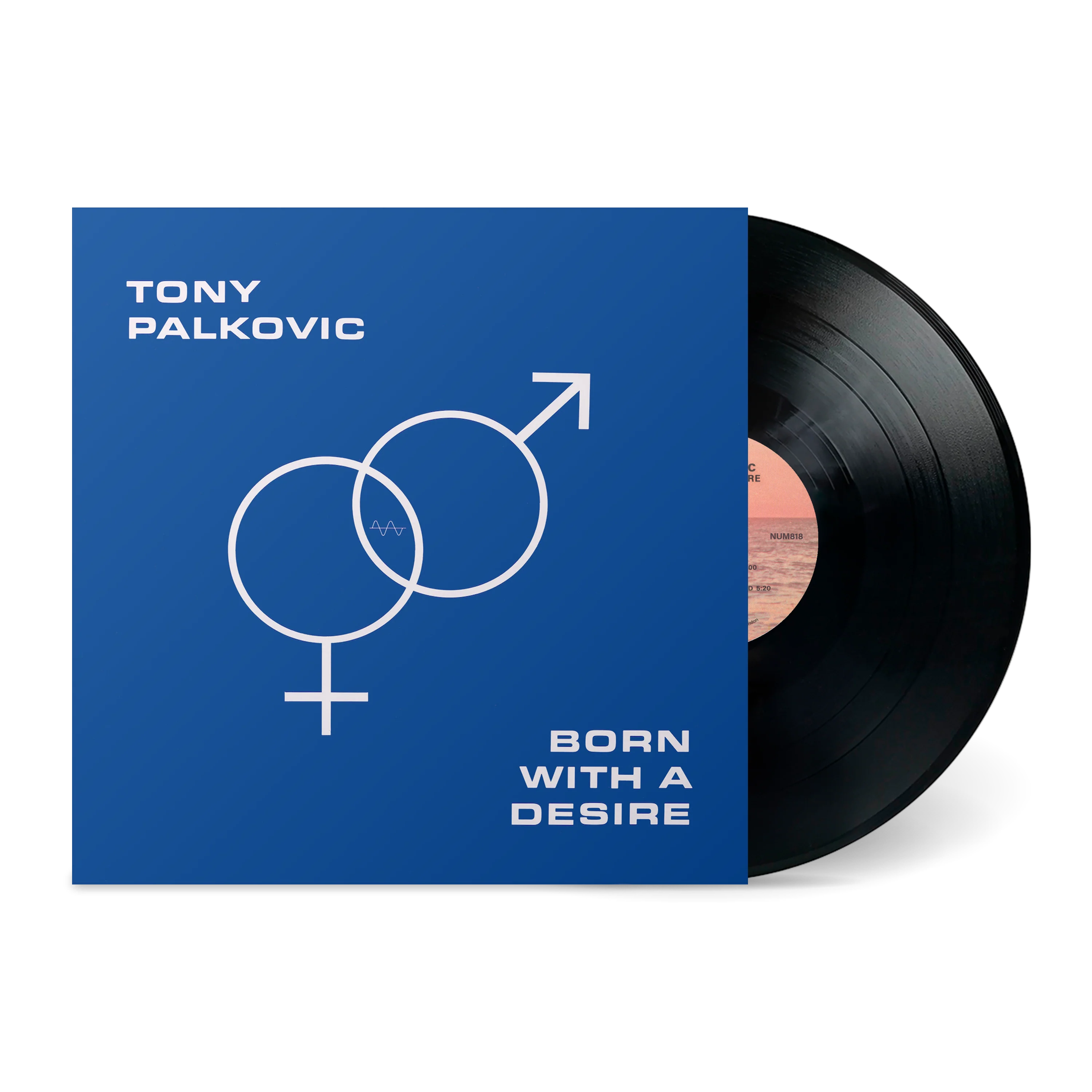 Born With A Desire - Image 3
