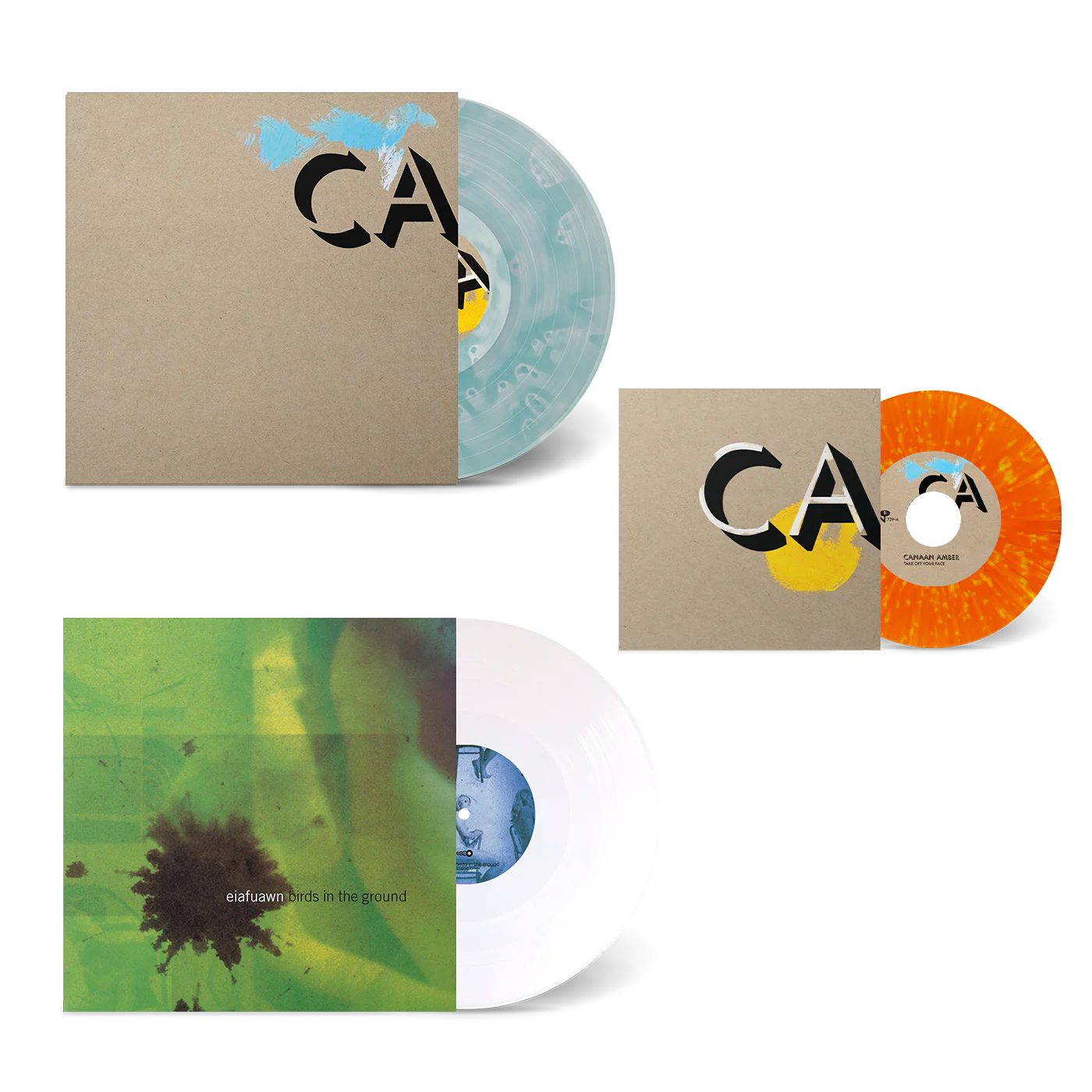 CA - Image 7