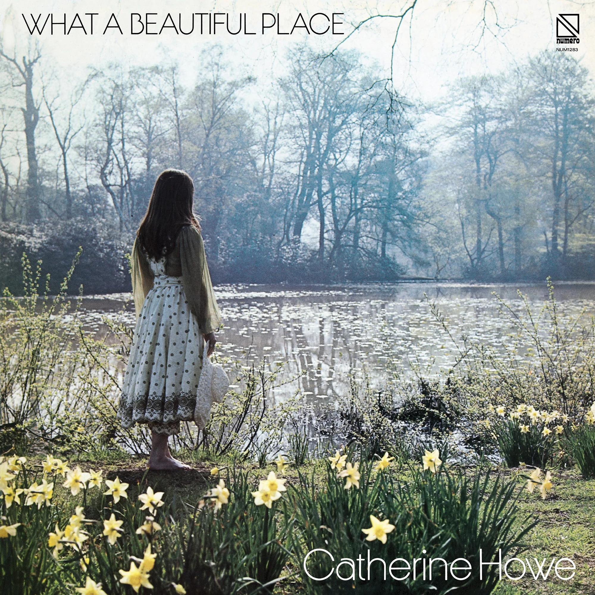 What A Beautiful Place (50th Anniversary Edition) - Image 4