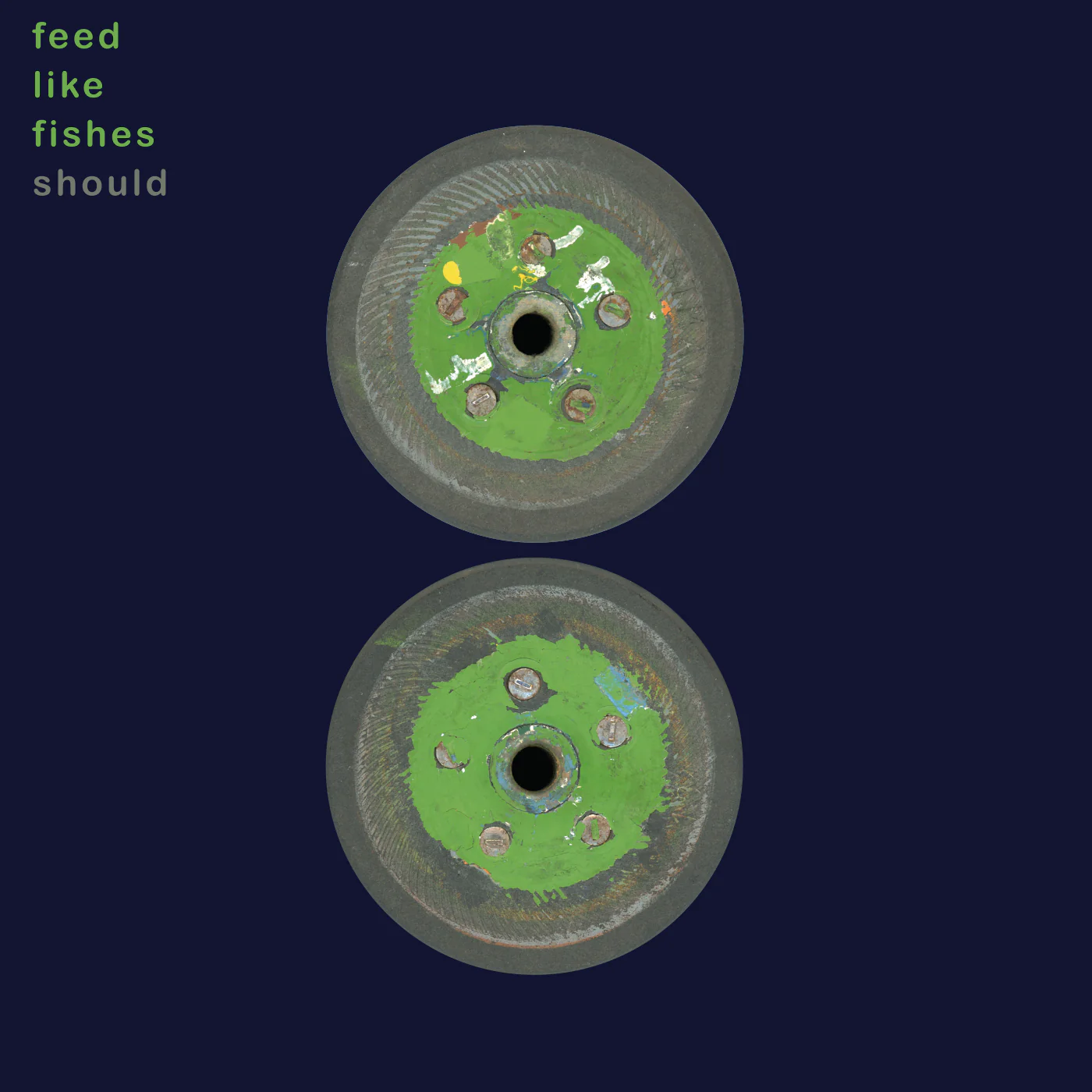 Feed Like Fishes - Image 5