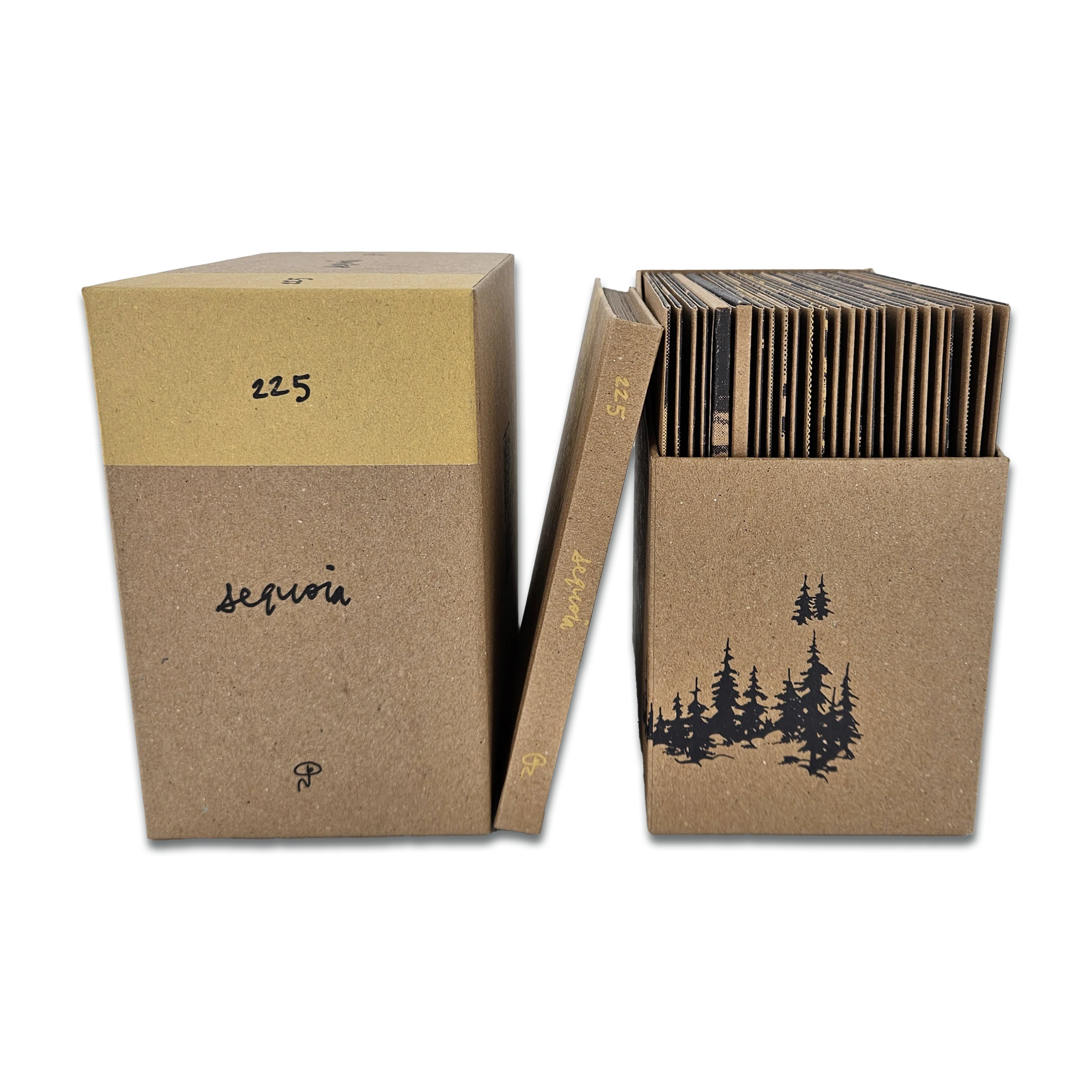 Sequoia - Image 3