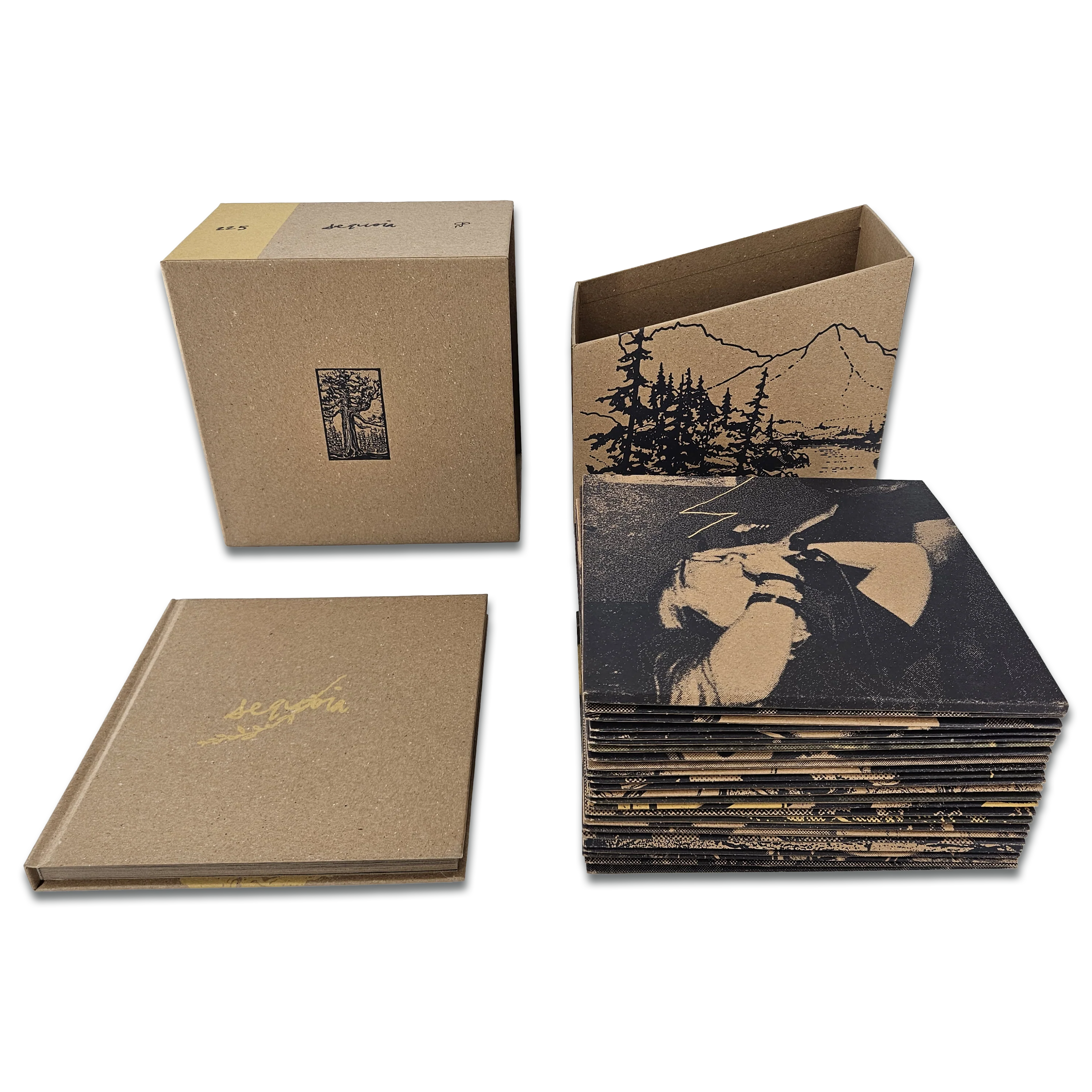 Sequoia - Image 4