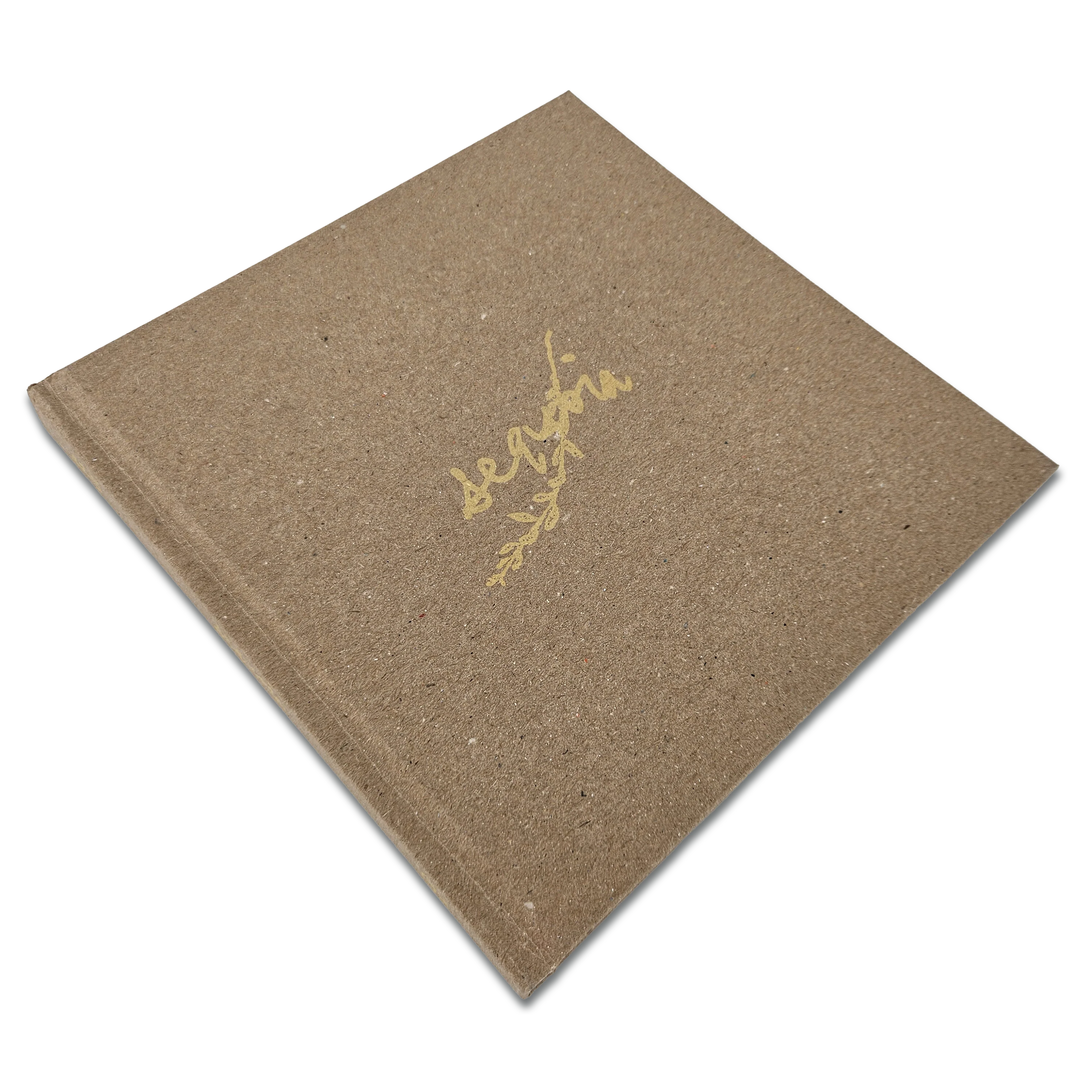 Sequoia - Image 8