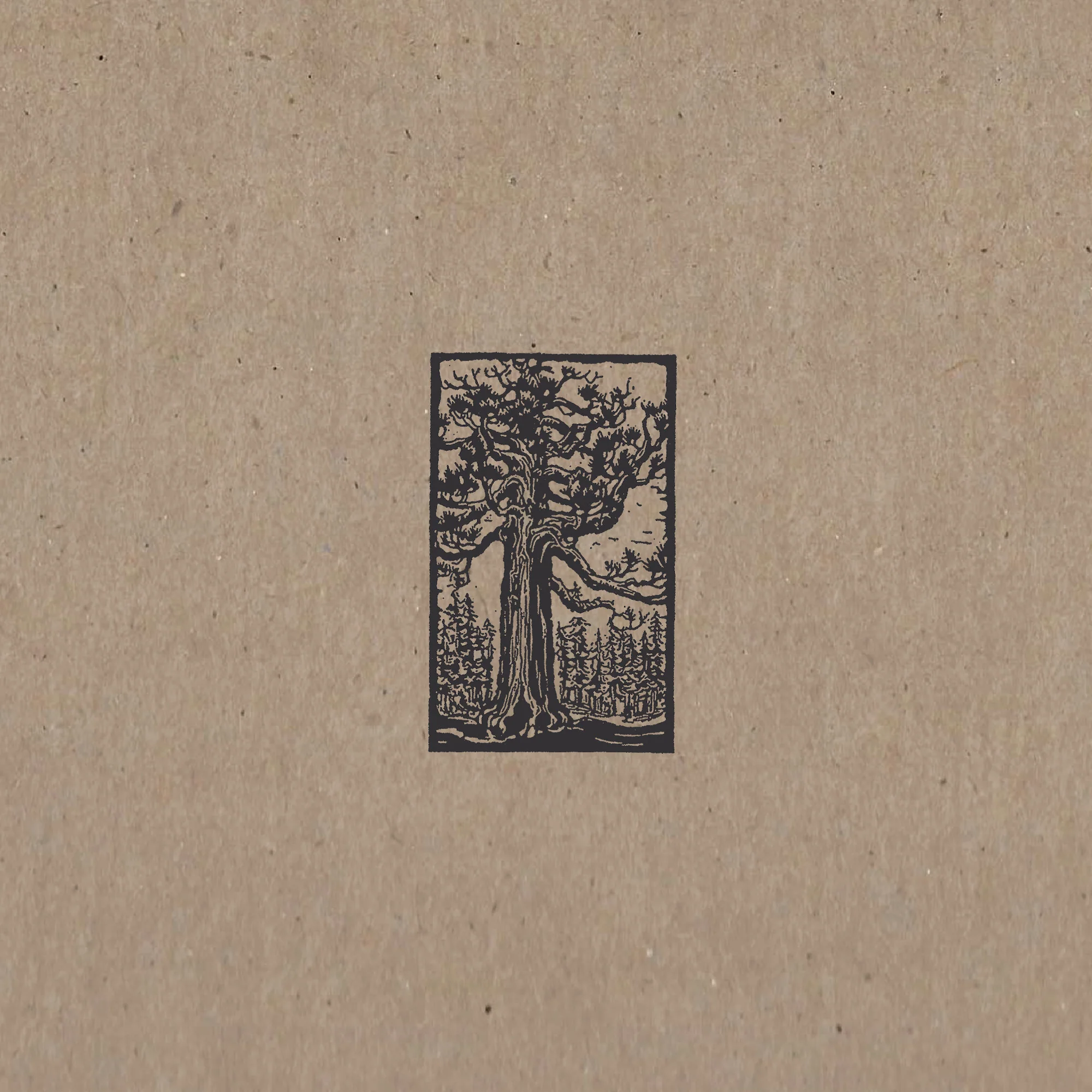 Sequoia - Image 9